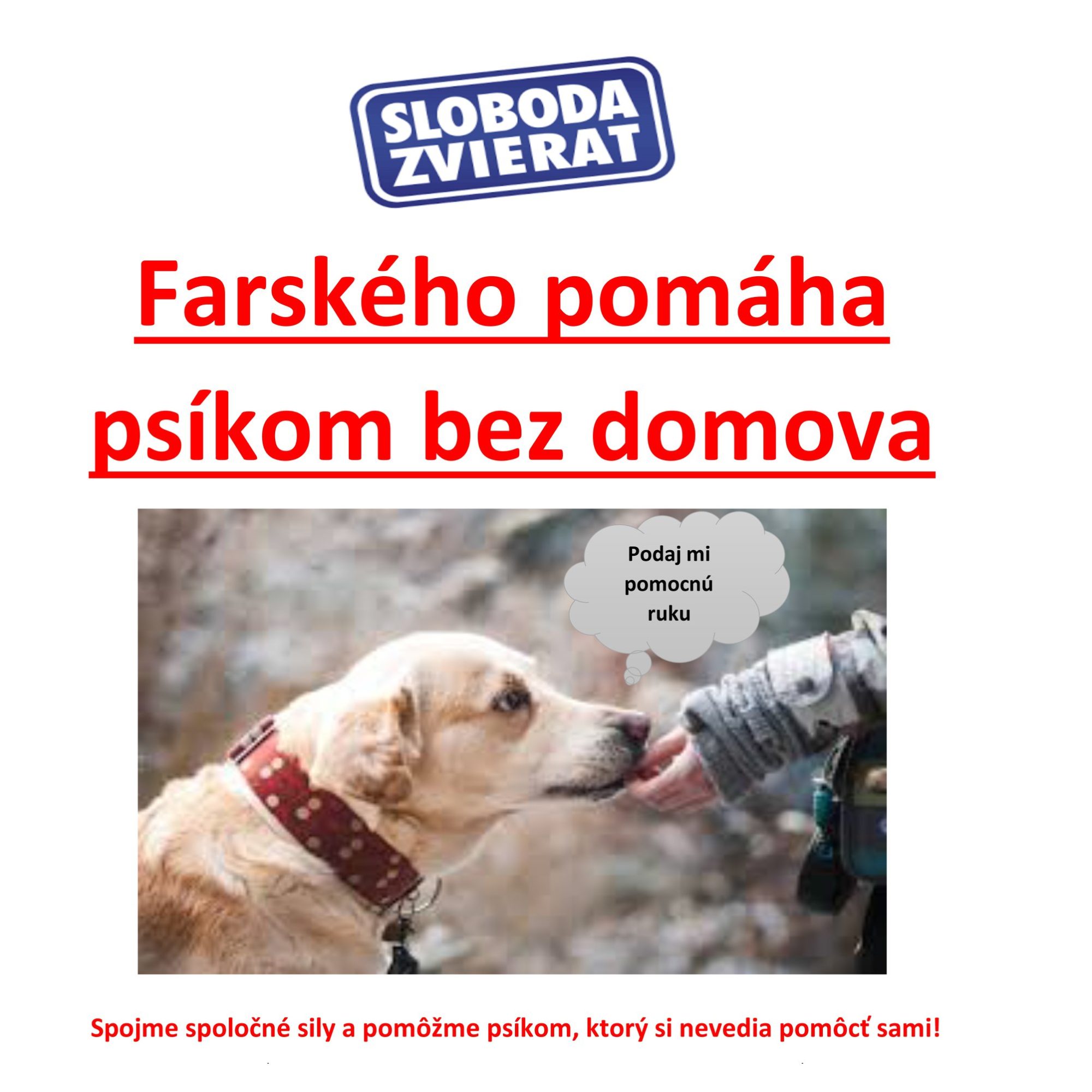 Naša-škola-sa-rozhodla-pomôcť.jpeg