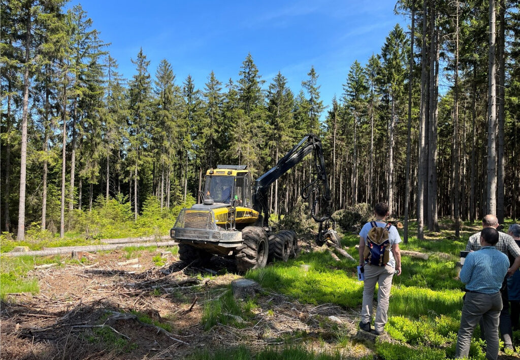 forest-europe:-aktivny-lesnicky-pristup-pri-zvladani-kalamit-v-lesoch-ma-zmysel