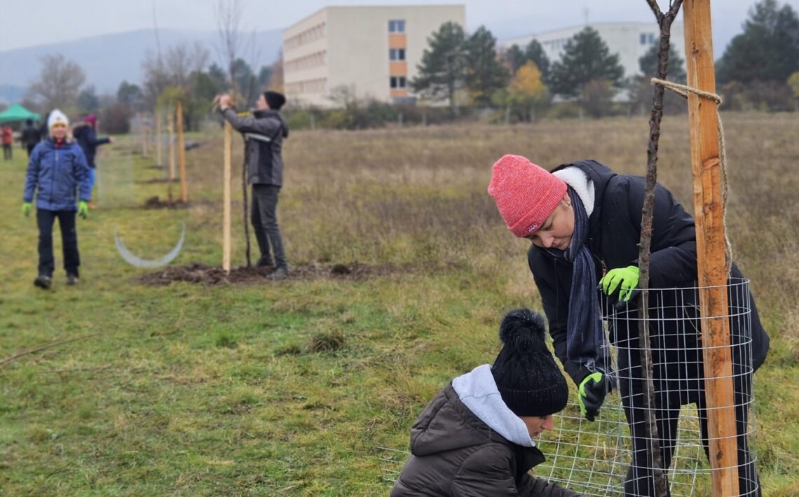 vyzva-wwf-slovensko-pre-obce-a-mesta-k-vysadbe-drevin