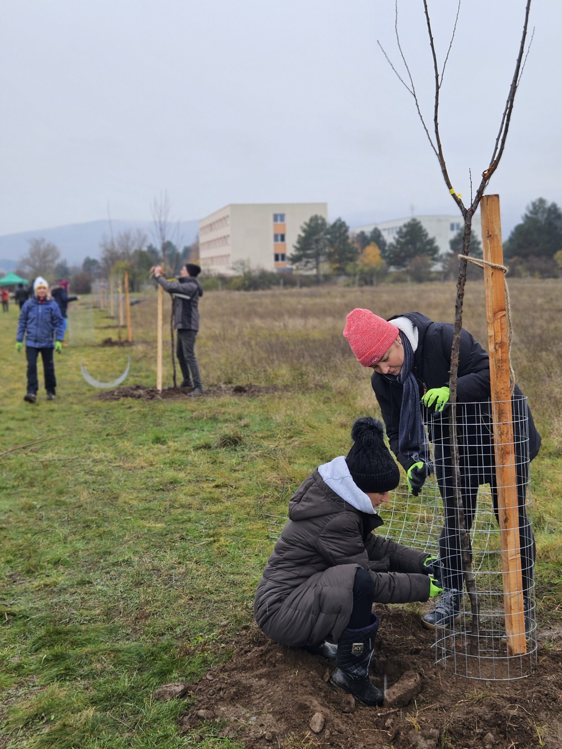 vyzva-wwf-slovensko-pre-obce-a-mesta-k-vysadbe-drevin