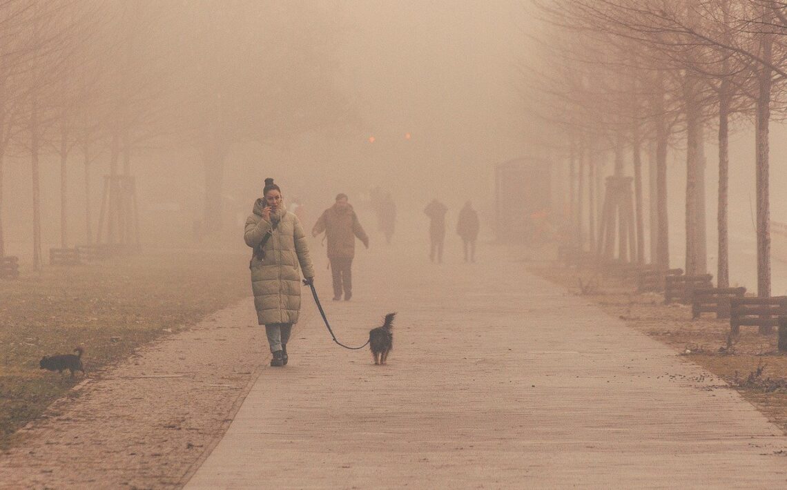 na-celom-uzemi-sr-treba-ratat-s-hmlou-a-poladovicou,-niekde-so-smogom