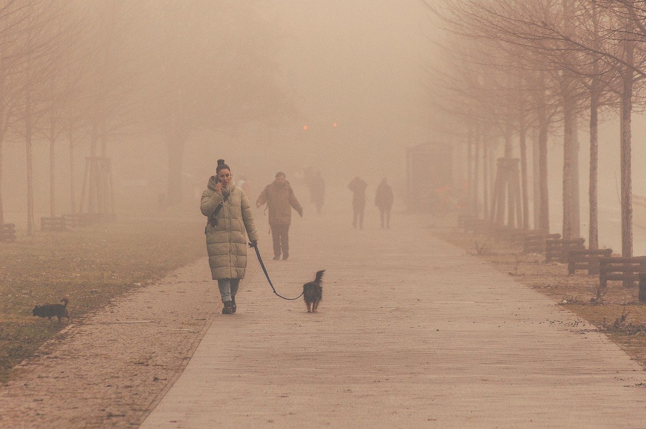 na-celom-uzemi-sr-treba-ratat-s-hmlou-a-poladovicou,-niekde-so-smogom